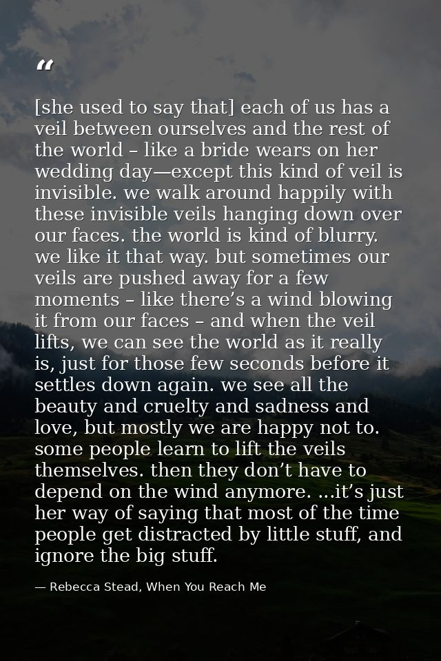 [she used to say that] each of us has a veil between ourselves and the rest of the world – like a bride wears on her wed — Rebecca Stead, When You Reach Me