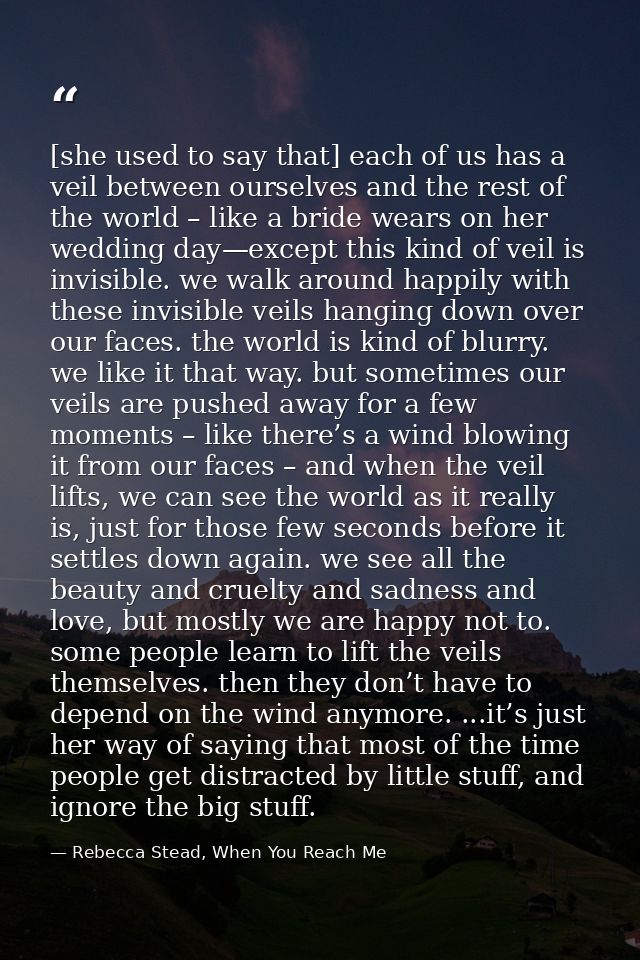 [she used to say that] each of us has a veil between ourselves and the rest of the world – like a bride wears on her wed — Rebecca Stead, When You Reach Me