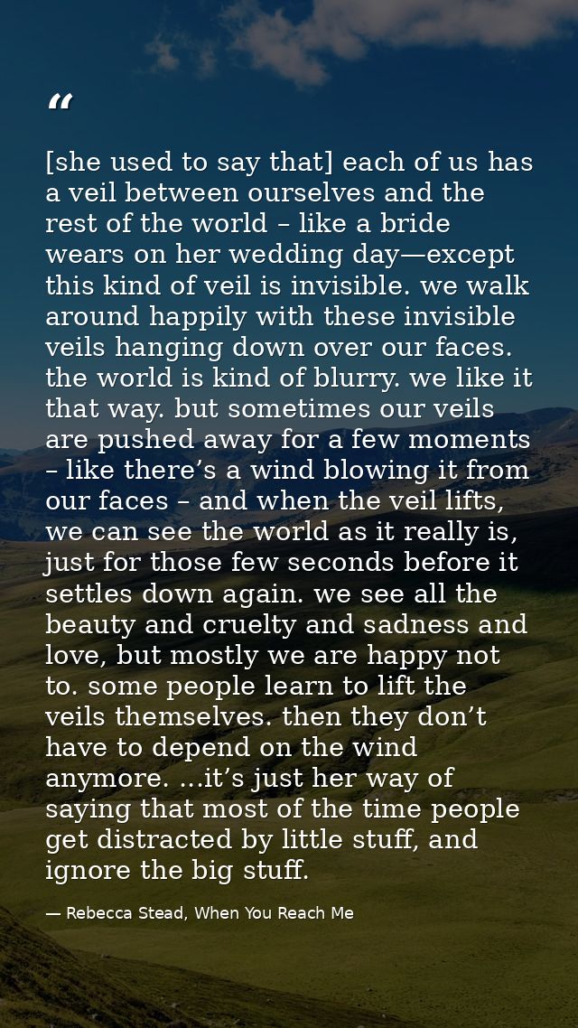 [she used to say that] each of us has a veil between ourselves and the rest of the world – like a bride wears on her wed — Rebecca Stead, When You Reach Me