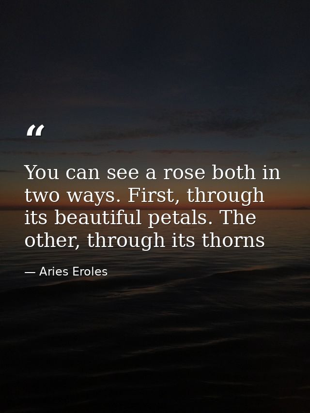 You can see a rose both in two ways. First, through its beautiful petals. The other, through its thorns — Aries Eroles