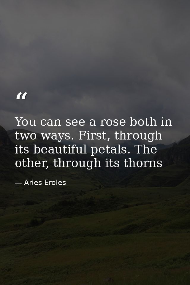 You can see a rose both in two ways. First, through its beautiful petals. The other, through its thorns — Aries Eroles