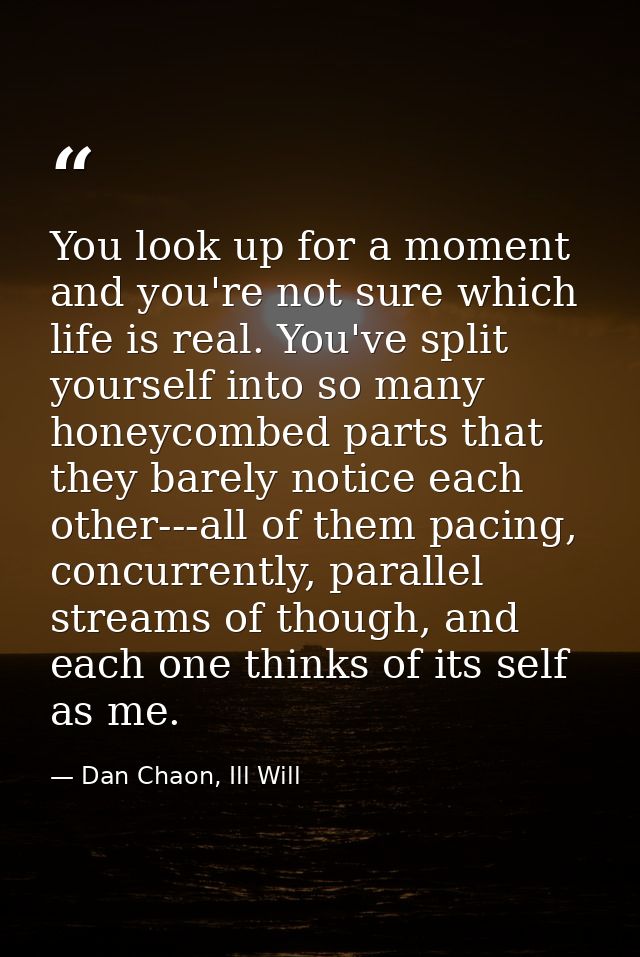 You look up for a moment and you're not sure which life is real. You've split yourself into so many honeycombed parts th — Dan Chaon, Ill Will
