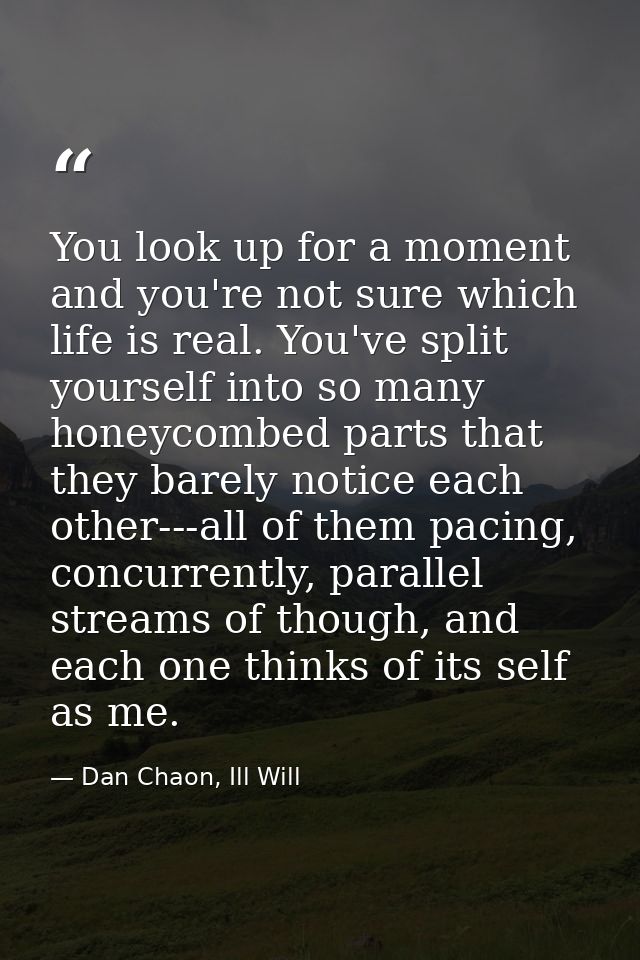 You look up for a moment and you're not sure which life is real. You've split yourself into so many honeycombed parts th — Dan Chaon, Ill Will
