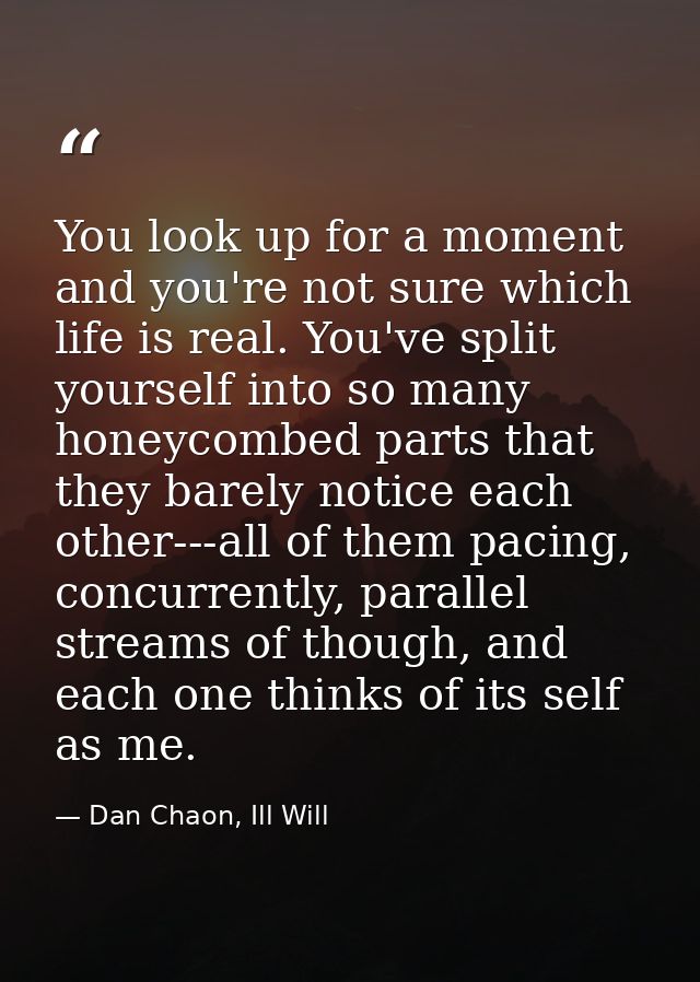 You look up for a moment and you're not sure which life is real. You've split yourself into so many honeycombed parts th — Dan Chaon, Ill Will