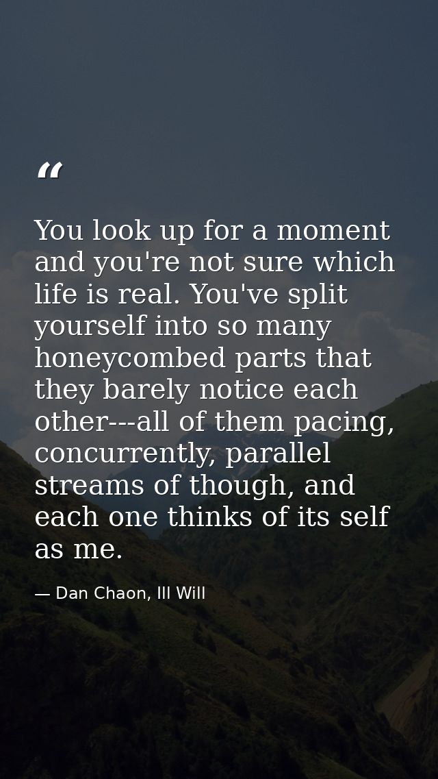 You look up for a moment and you're not sure which life is real. You've split yourself into so many honeycombed parts th — Dan Chaon, Ill Will