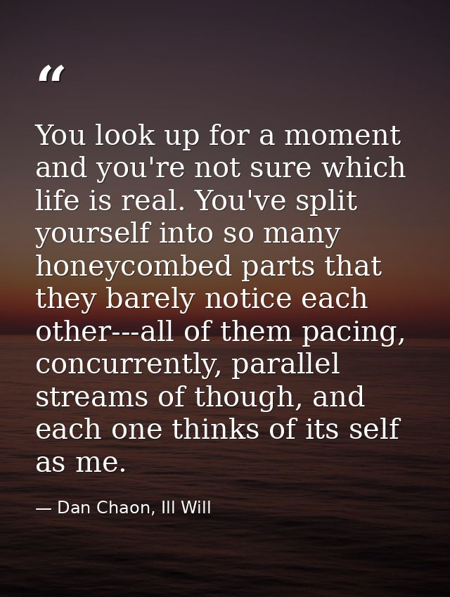 You look up for a moment and you're not sure which life is real. You've split yourself into so many honeycombed parts th — Dan Chaon, Ill Will