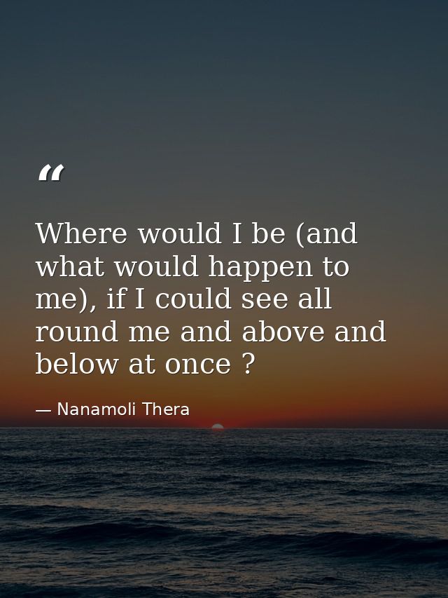 Where would I be (and what would happen to me), if I could see all round me and above and below at once ? — Nanamoli Thera