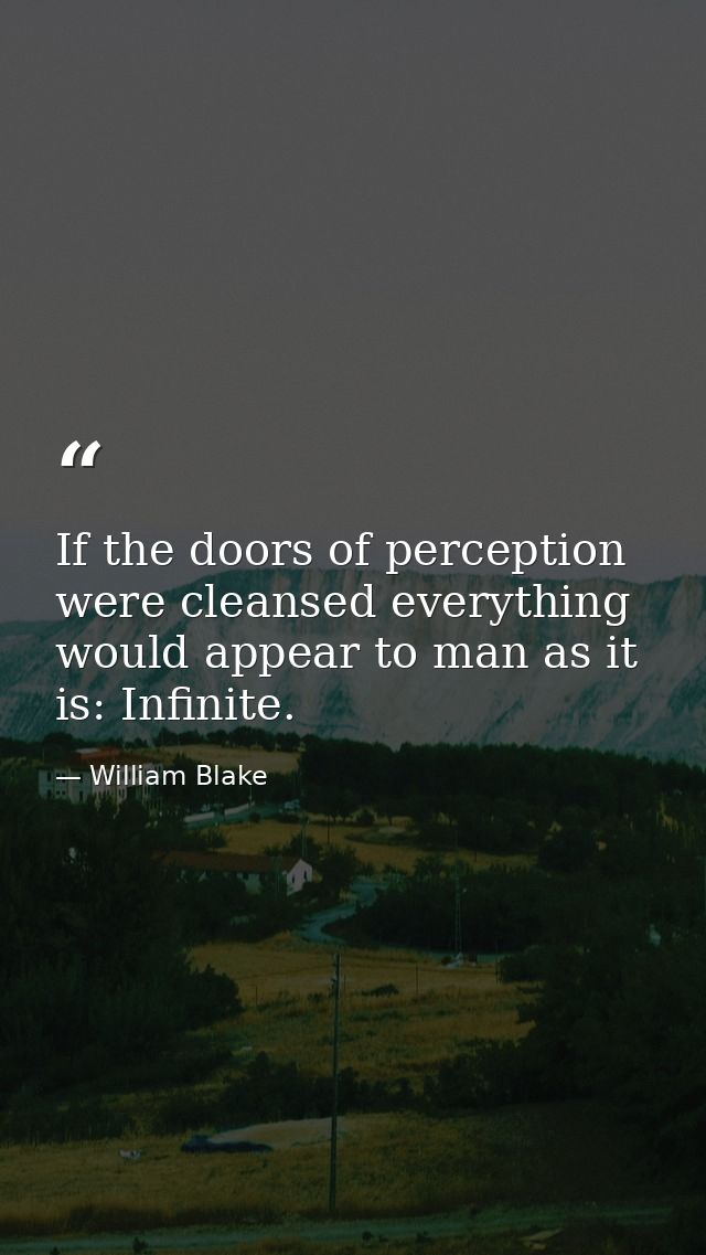 If the doors of perception were cleansed everything would appear to man as it is: Infinite. — William Blake