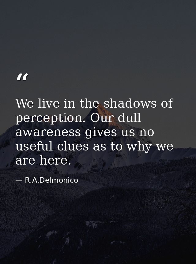 We live in the shadows of perception. Our dull awareness gives us no useful clues as to why we are here. — R.A.Delmonico