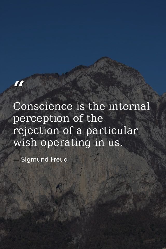 Conscience is the internal perception of the rejection of a particular wish operating in us. — Sigmund Freud