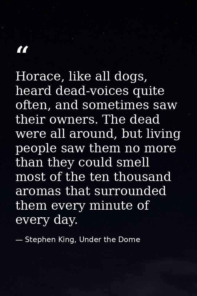Horace, like all dogs, heard dead-voices quite often, and sometimes saw their owners. The dead were all around, but livi — Stephen King, Under the Dome