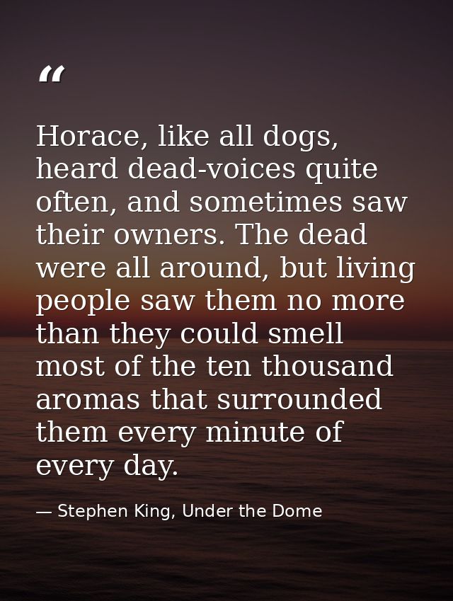 Horace, like all dogs, heard dead-voices quite often, and sometimes saw their owners. The dead were all around, but livi — Stephen King, Under the Dome