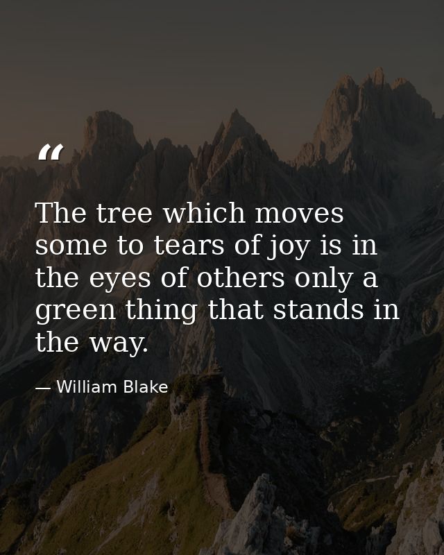 The tree which moves some to tears of joy is in the eyes of others only a green thing that stands in the way. — William Blake