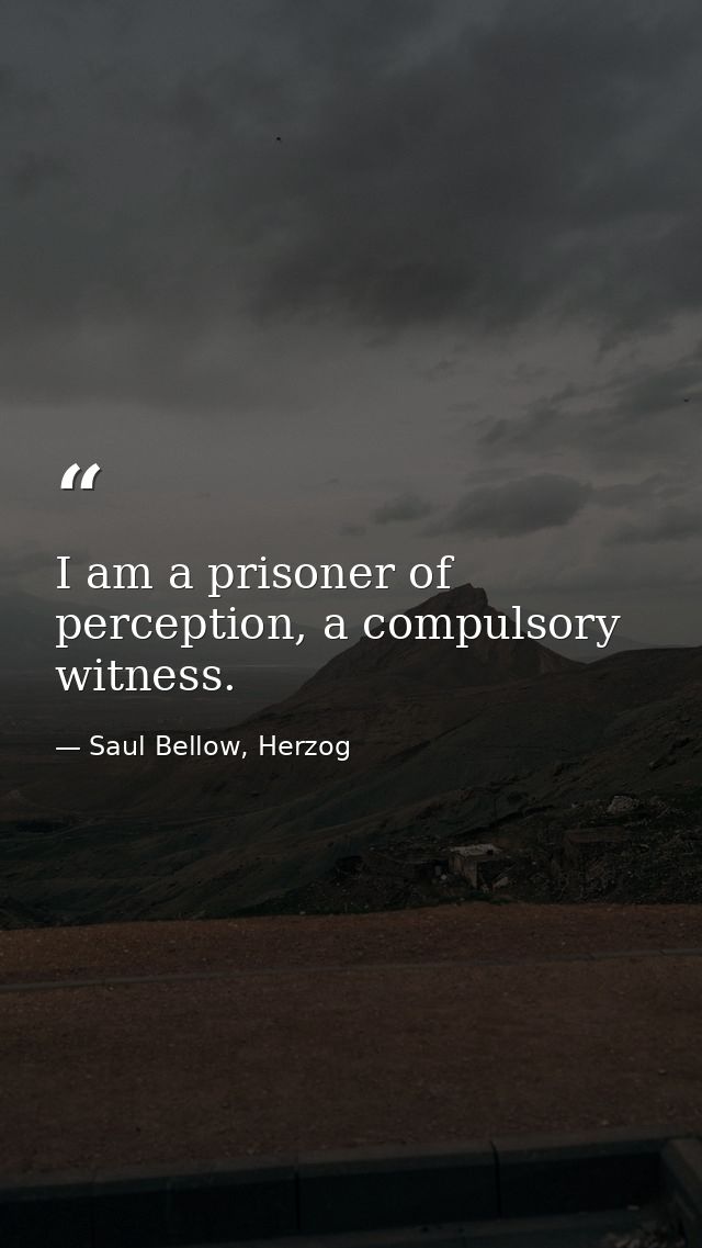 I am a prisoner of perception, a compulsory witness. — Saul Bellow, Herzog