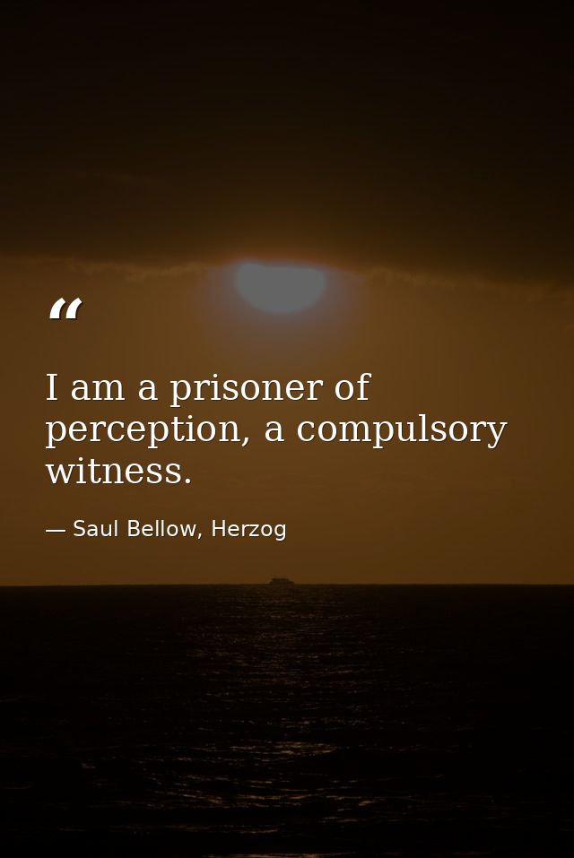 I am a prisoner of perception, a compulsory witness. — Saul Bellow, Herzog