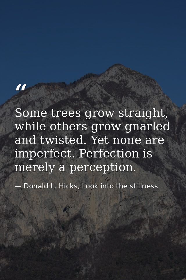 Some trees grow straight, while others grow gnarled and twisted. Yet none are imperfect. Perfection is merely a percepti — Donald L. Hicks, Look into the stillness