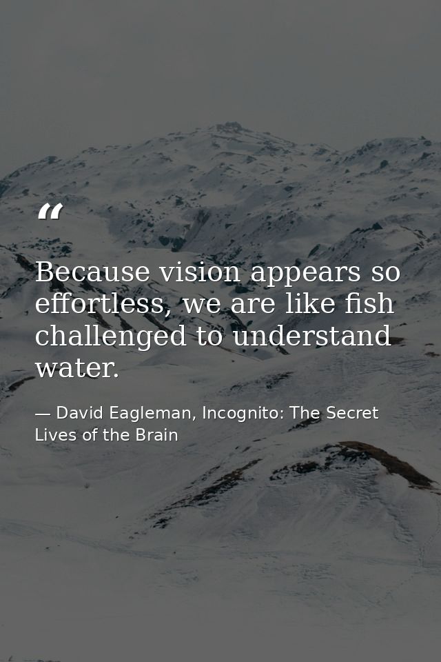Because vision appears so effortless, we are like fish challenged to understand water. — David Eagleman, Incognito: The Secret Lives of the Brain