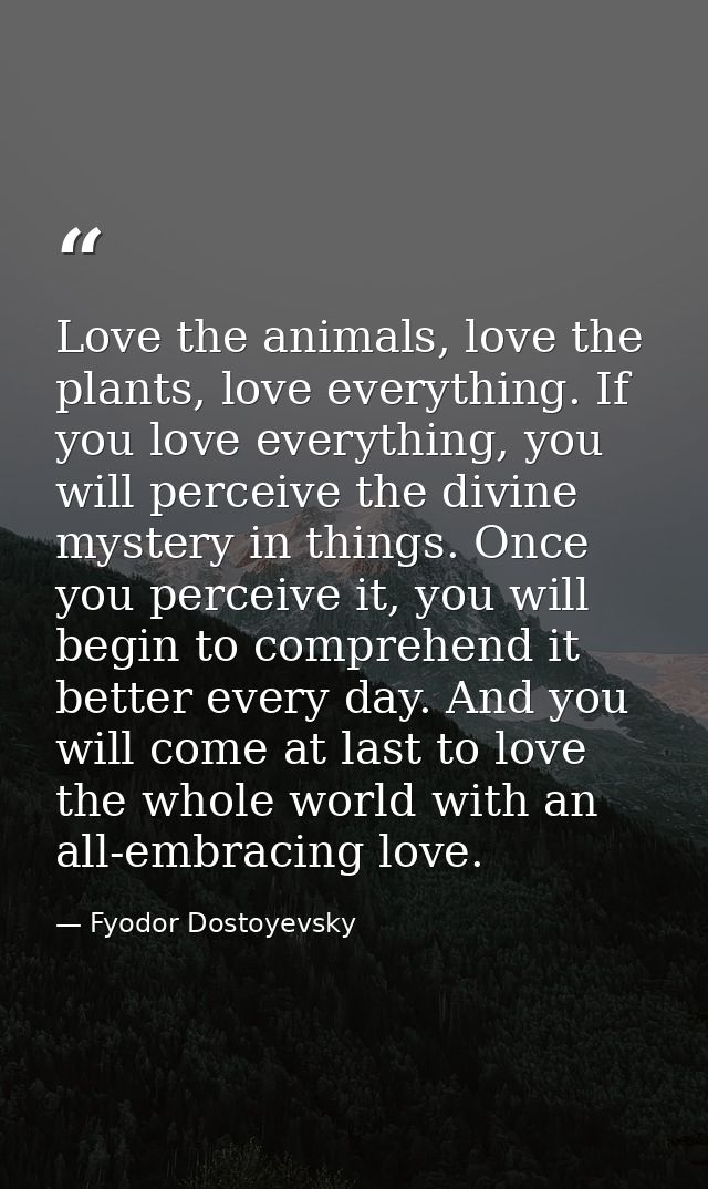 Love the animals, love the plants, love everything. If you love everything, you will perceive the divine mystery in thin — Fyodor Dostoyevsky