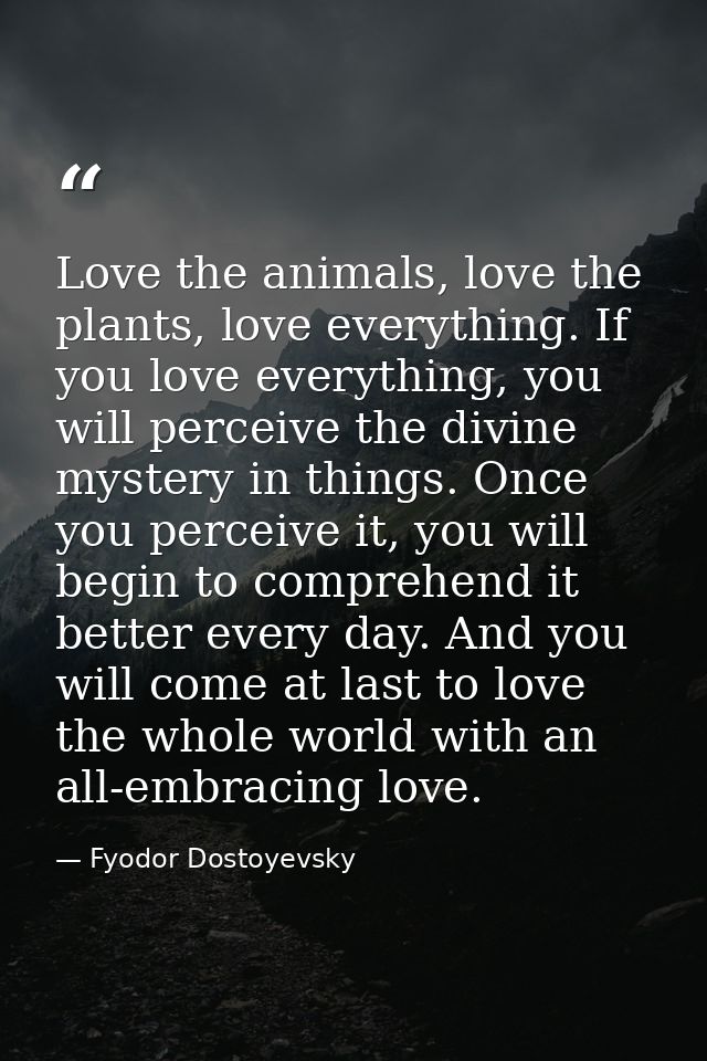 Love the animals, love the plants, love everything. If you love everything, you will perceive the divine mystery in thin — Fyodor Dostoyevsky