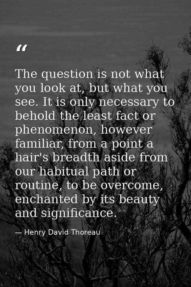 The question is not what you look at, but what you see. It is only necessary to behold the least fact or phenomenon, how — Henry David Thoreau