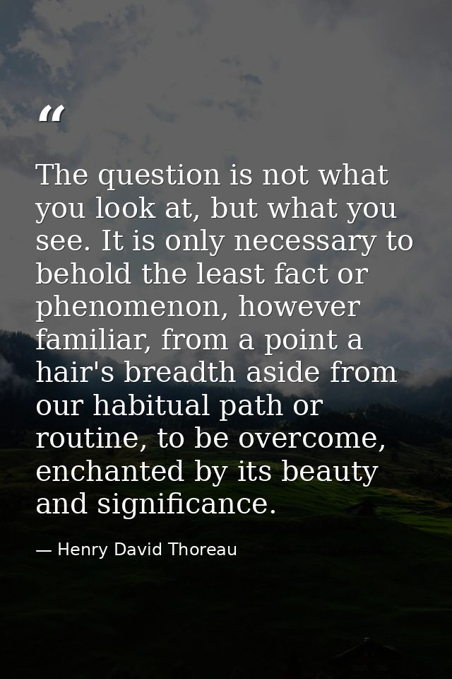 The question is not what you look at, but what you see. It is only necessary to behold the least fact or phenomenon, how — Henry David Thoreau