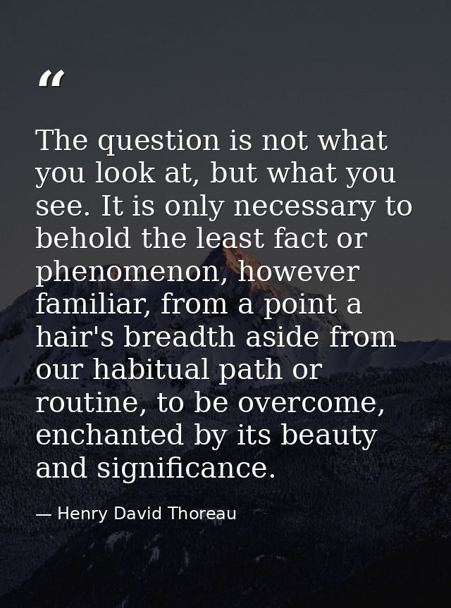 The question is not what you look at, but what you see. It is only necessary to behold the least fact or phenomenon, how — Henry David Thoreau