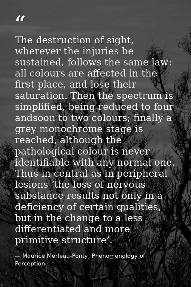 The destruction of sight, wherever the injuries be sustained, follows the same law: all colours are aﬀected in the ﬁrst  — Maurice Merleau-Ponty, Phenomenology of Perception
