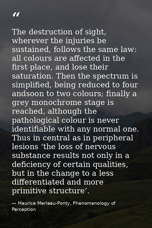 The destruction of sight, wherever the injuries be sustained, follows the same law: all colours are aﬀected in the ﬁrst  — Maurice Merleau-Ponty, Phenomenology of Perception