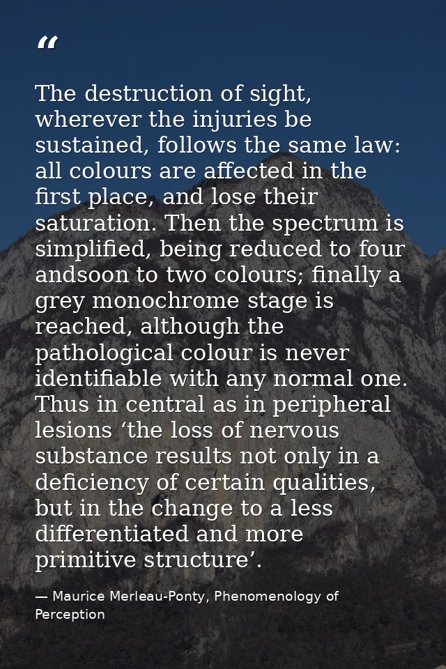 The destruction of sight, wherever the injuries be sustained, follows the same law: all colours are aﬀected in the ﬁrst  — Maurice Merleau-Ponty, Phenomenology of Perception
