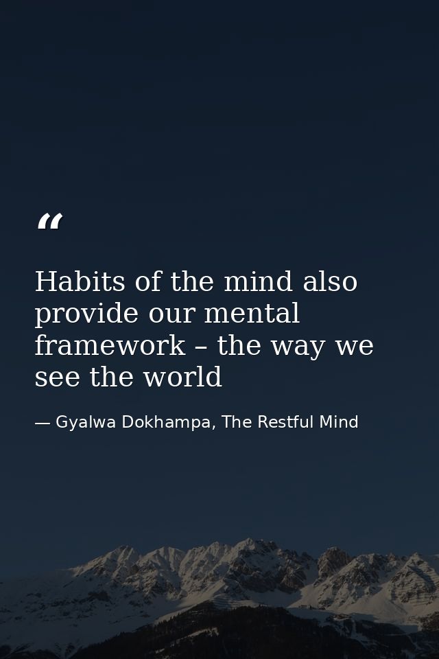 Habits of the mind also provide our mental framework – the way we see the world — Gyalwa Dokhampa, The Restful Mind