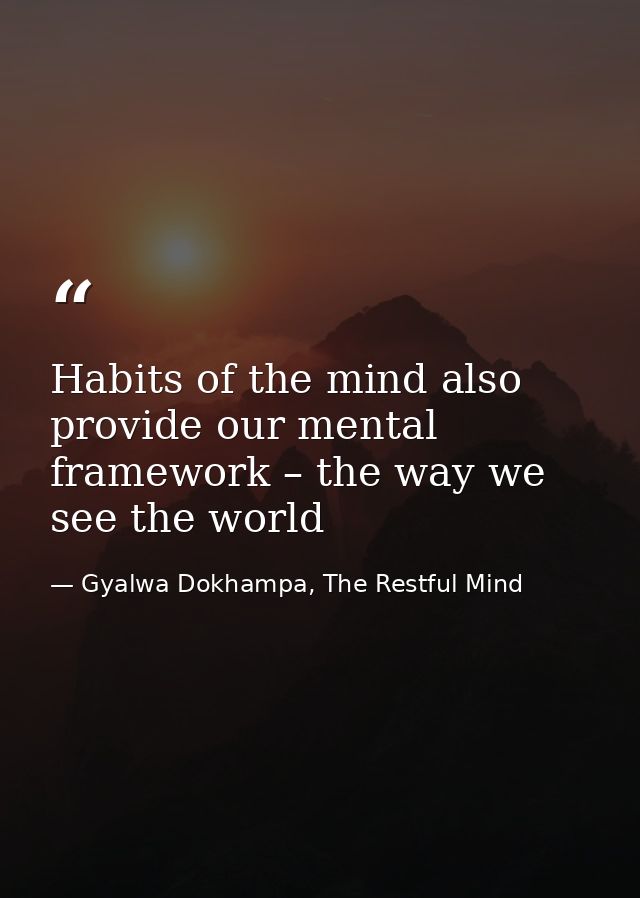 Habits of the mind also provide our mental framework – the way we see the world — Gyalwa Dokhampa, The Restful Mind