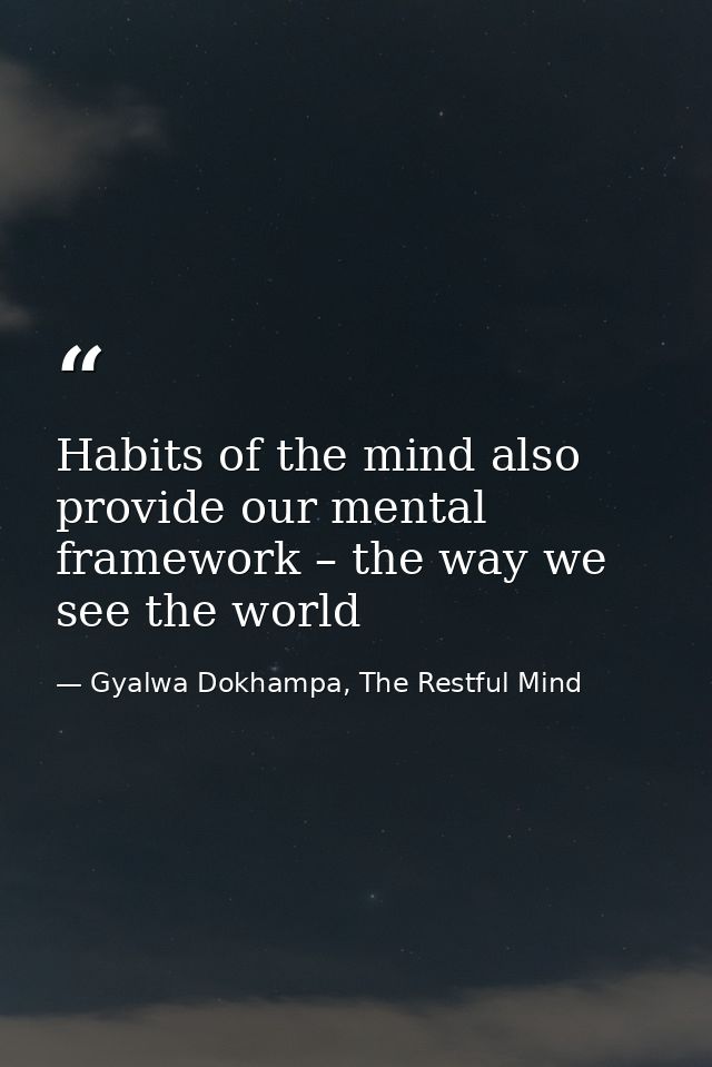 Habits of the mind also provide our mental framework – the way we see the world — Gyalwa Dokhampa, The Restful Mind