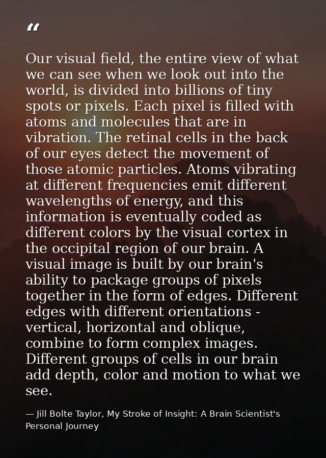Our visual field, the entire view of what we can see when we look out into the world, is divided into billions of tiny s — Jill Bolte Taylor, My Stroke of Insight: A Brain Scientist's Personal Journey