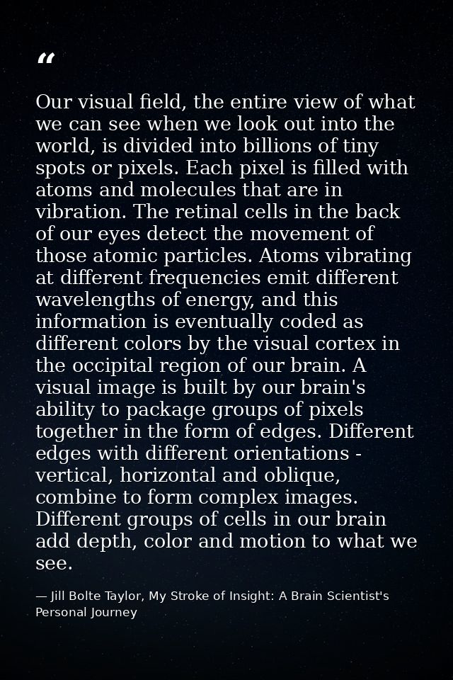 Our visual field, the entire view of what we can see when we look out into the world, is divided into billions of tiny s — Jill Bolte Taylor, My Stroke of Insight: A Brain Scientist's Personal Journey