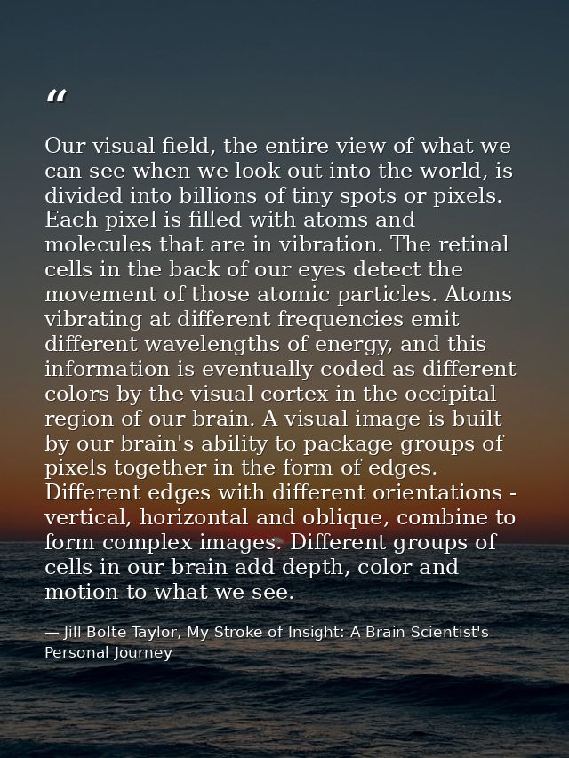 Our visual field, the entire view of what we can see when we look out into the world, is divided into billions of tiny s — Jill Bolte Taylor, My Stroke of Insight: A Brain Scientist's Personal Journey