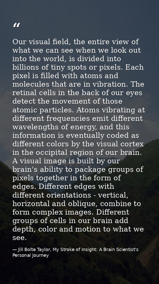 Our visual field, the entire view of what we can see when we look out into the world, is divided into billions of tiny s — Jill Bolte Taylor, My Stroke of Insight: A Brain Scientist's Personal Journey