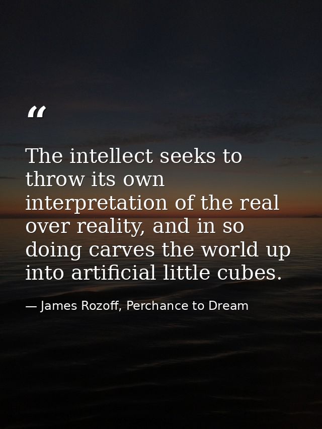 The intellect seeks to throw its own interpretation of the real over reality, and in so doing carves the world up into a — James Rozoff, Perchance to Dream