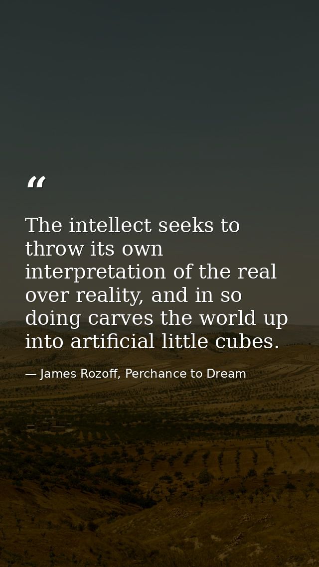 The intellect seeks to throw its own interpretation of the real over reality, and in so doing carves the world up into a — James Rozoff, Perchance to Dream