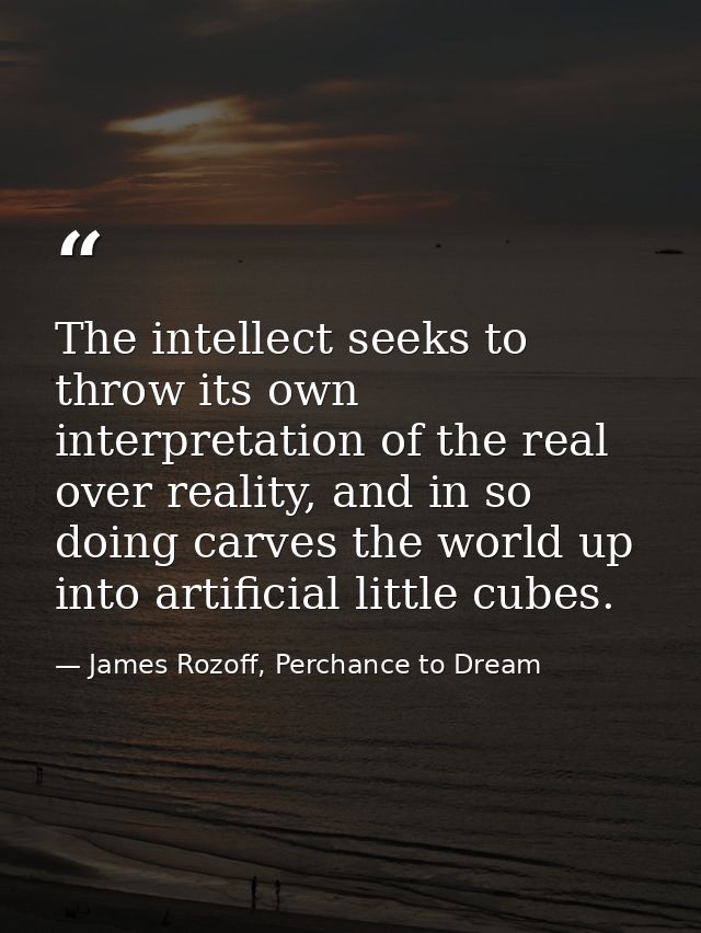 The intellect seeks to throw its own interpretation of the real over reality, and in so doing carves the world up into a — James Rozoff, Perchance to Dream