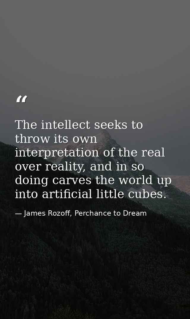 The intellect seeks to throw its own interpretation of the real over reality, and in so doing carves the world up into a — James Rozoff, Perchance to Dream