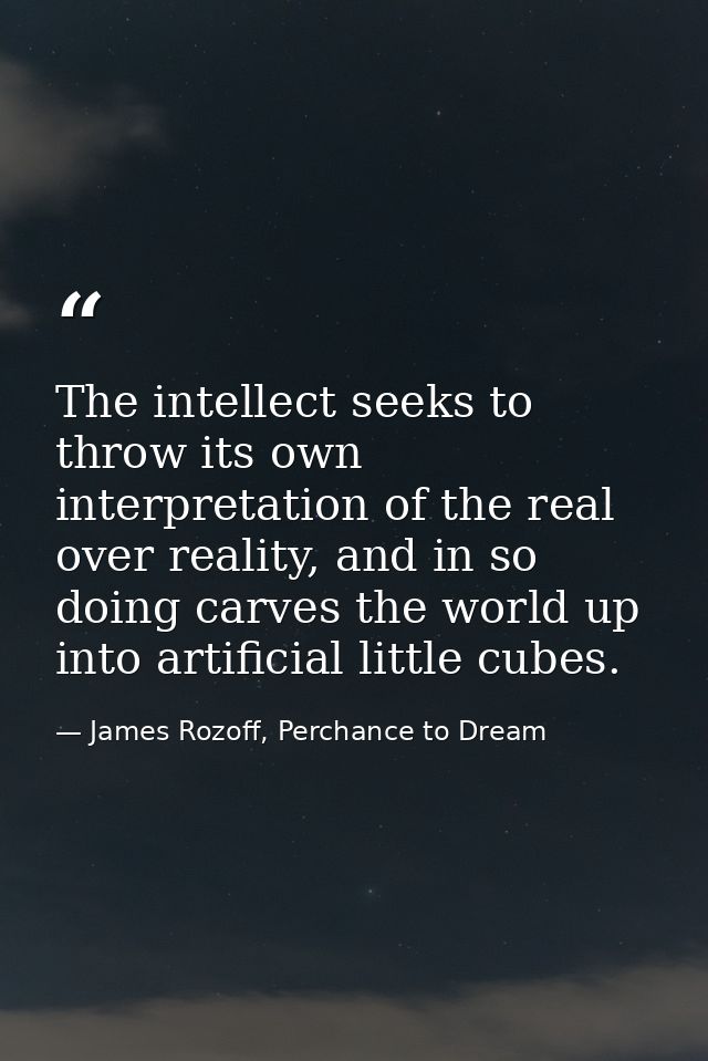 The intellect seeks to throw its own interpretation of the real over reality, and in so doing carves the world up into a — James Rozoff, Perchance to Dream