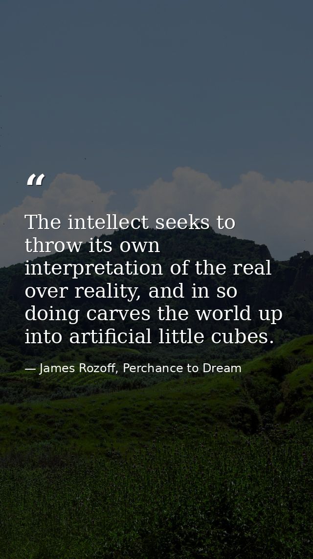 The intellect seeks to throw its own interpretation of the real over reality, and in so doing carves the world up into a — James Rozoff, Perchance to Dream