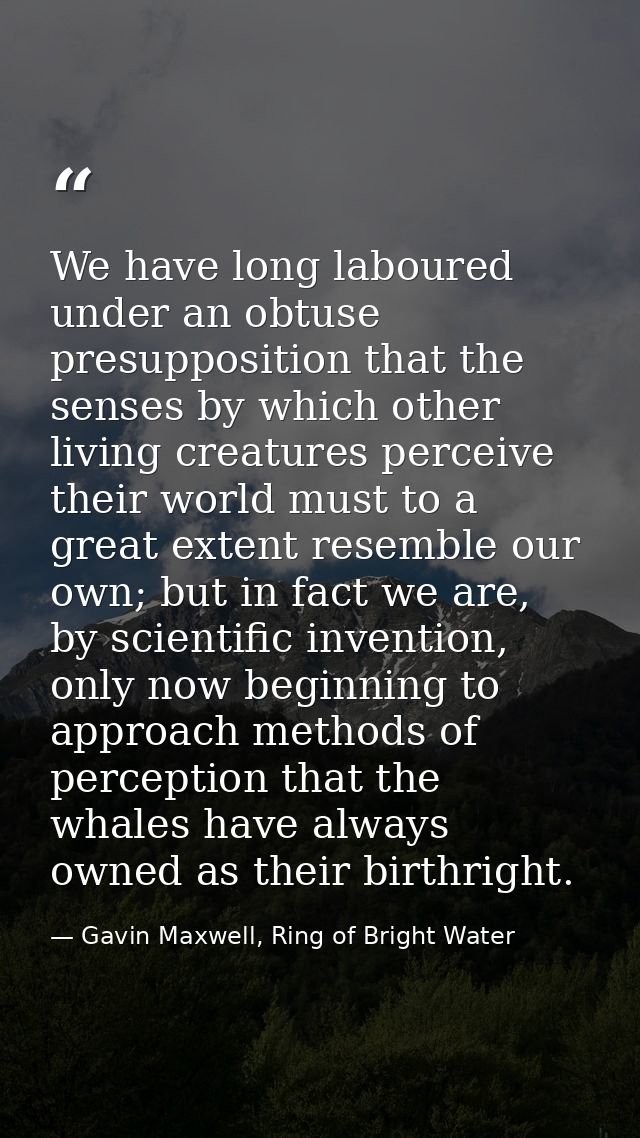 We have long laboured under an obtuse presupposition that the senses by which other living creatures perceive their worl — Gavin Maxwell, Ring of Bright Water