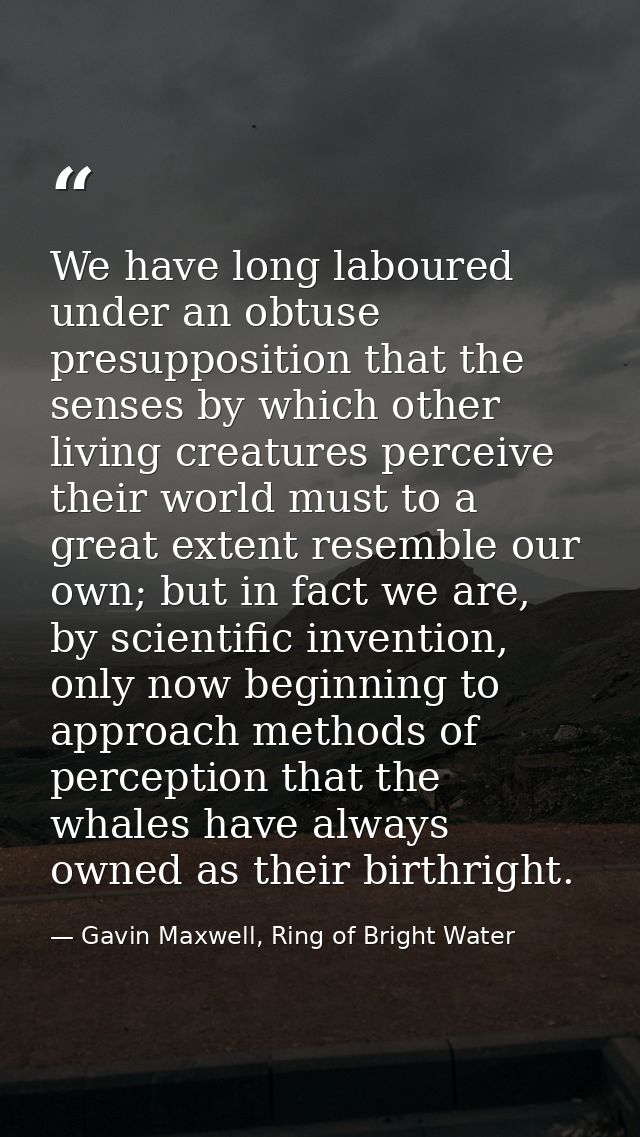 We have long laboured under an obtuse presupposition that the senses by which other living creatures perceive their worl — Gavin Maxwell, Ring of Bright Water