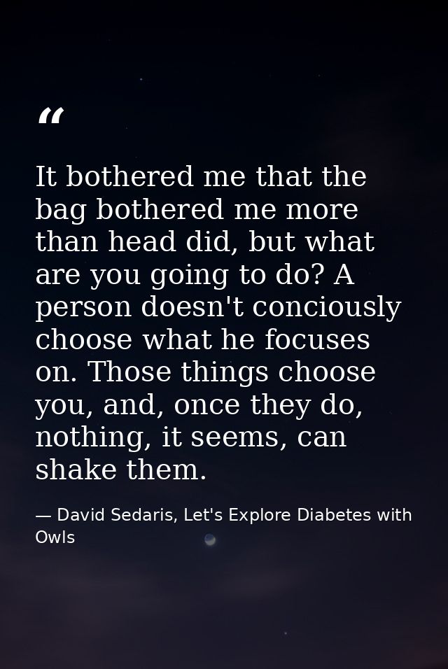 It bothered me that the bag bothered me more than head did, but what are you going to do? A person doesn't conciously ch — David Sedaris, Let's Explore Diabetes with Owls