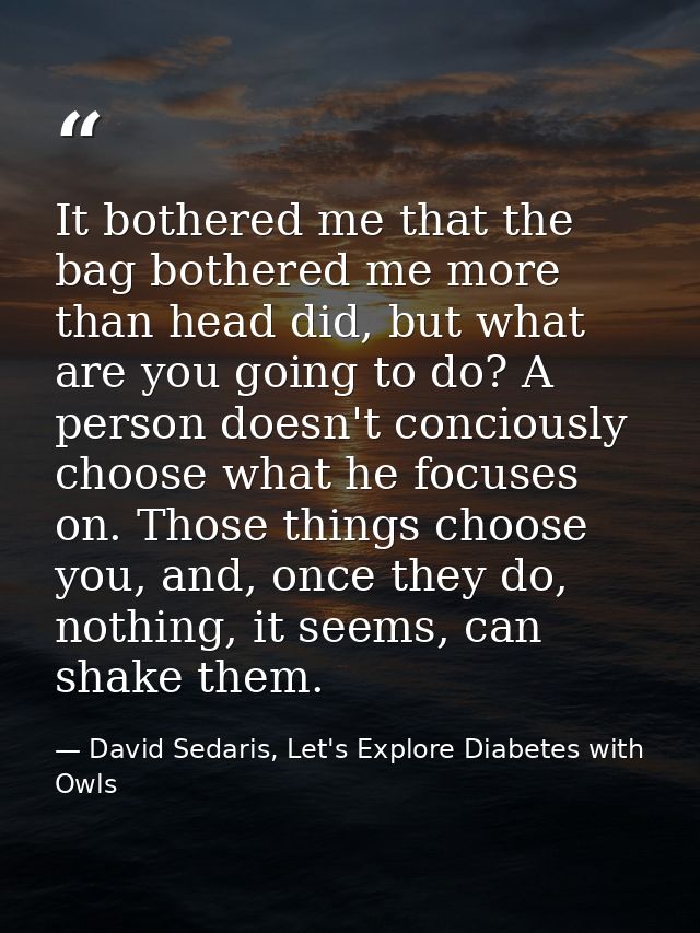 It bothered me that the bag bothered me more than head did, but what are you going to do? A person doesn't conciously ch — David Sedaris, Let's Explore Diabetes with Owls