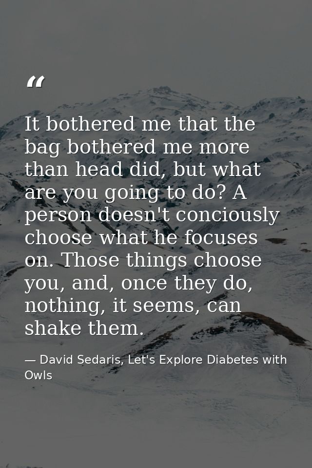 It bothered me that the bag bothered me more than head did, but what are you going to do? A person doesn't conciously ch — David Sedaris, Let's Explore Diabetes with Owls