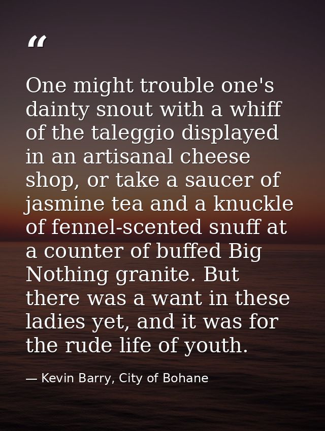 One might trouble one's dainty snout with a whiff of the taleggio displayed in an artisanal cheese shop, or take a sauce — Kevin Barry, City of Bohane