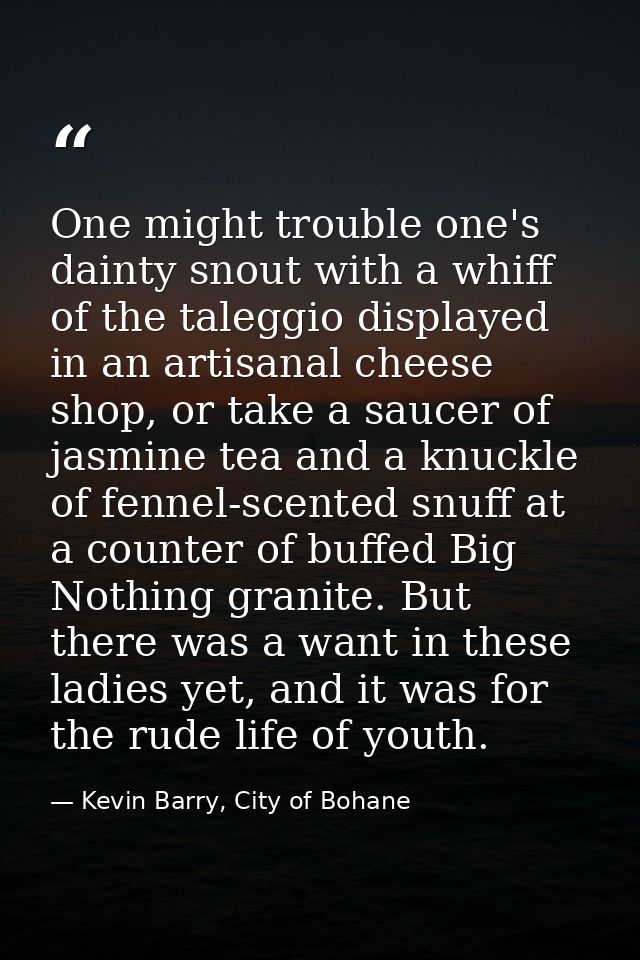 One might trouble one's dainty snout with a whiff of the taleggio displayed in an artisanal cheese shop, or take a sauce — Kevin Barry, City of Bohane