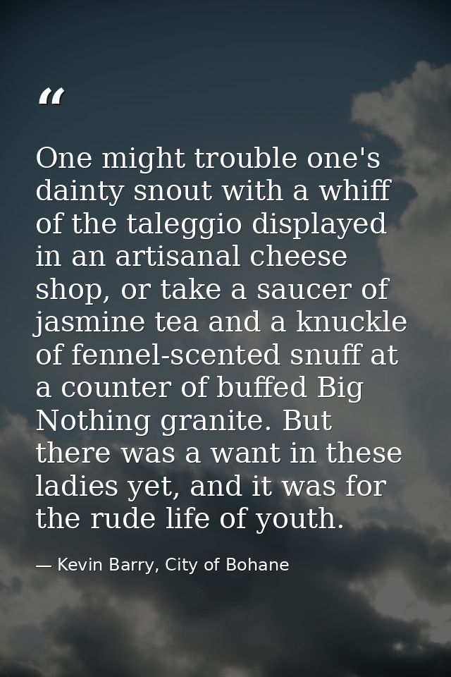 One might trouble one's dainty snout with a whiff of the taleggio displayed in an artisanal cheese shop, or take a sauce — Kevin Barry, City of Bohane